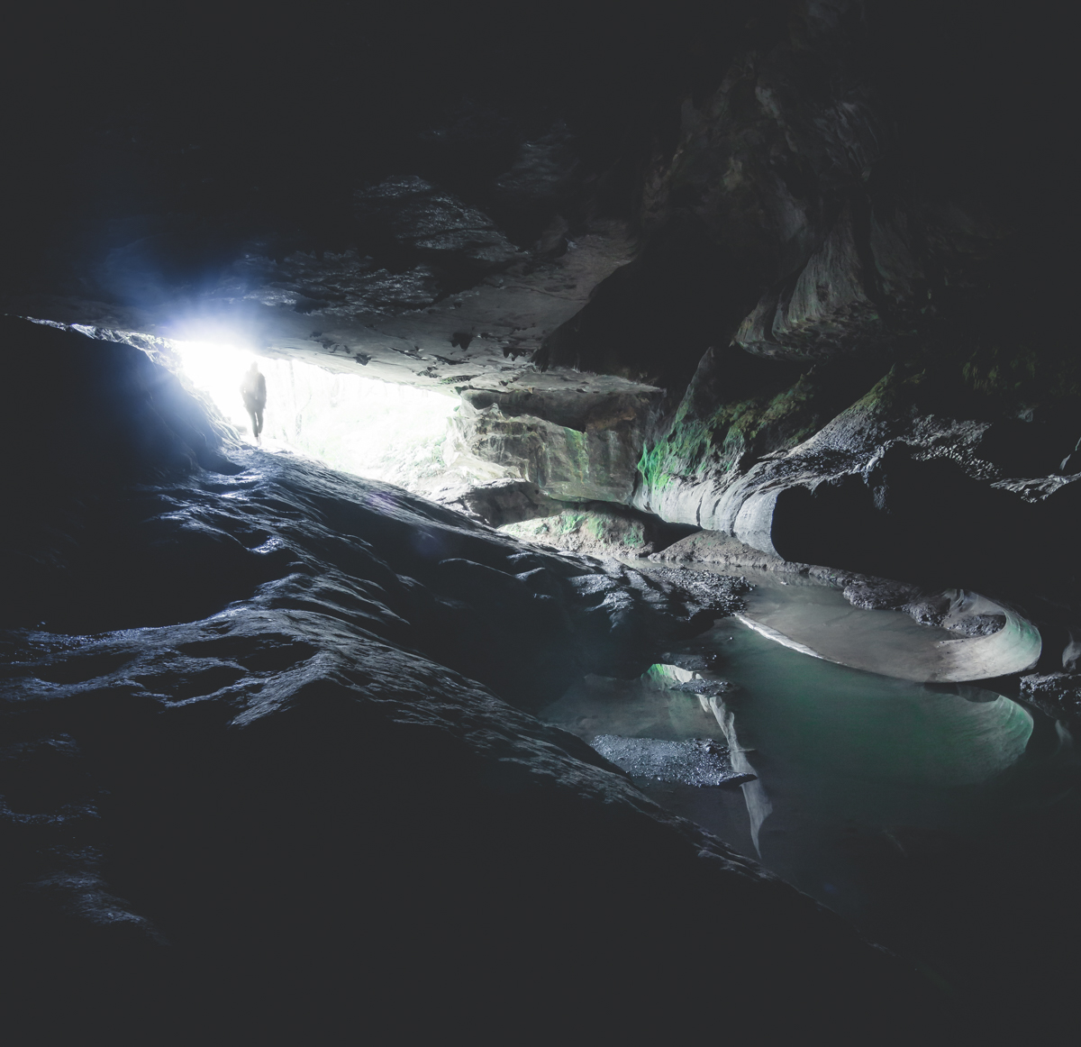 Waipu Caves Glowworms